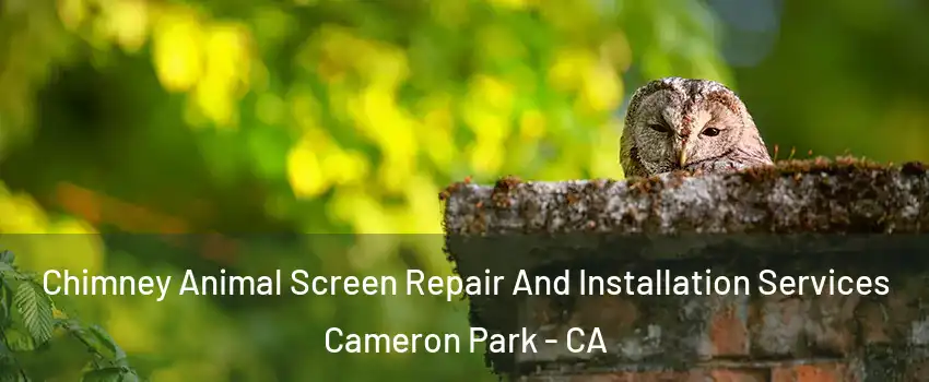  Chimney Animal Screen Repair And Installation Services Cameron Park - CA