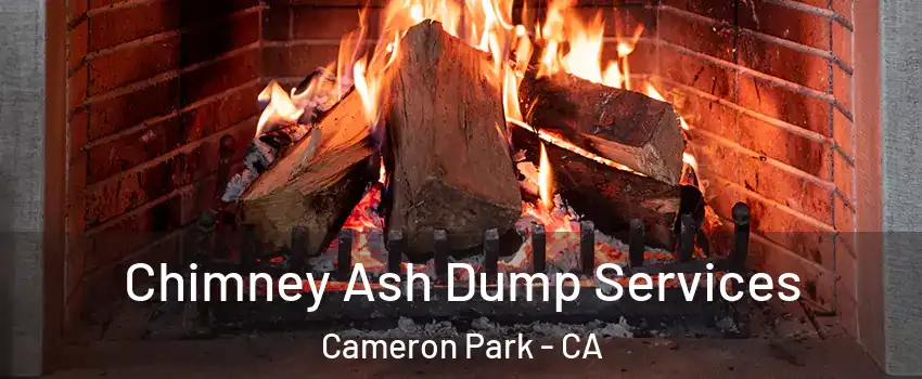 Chimney Ash Dump Services Cameron Park - CA