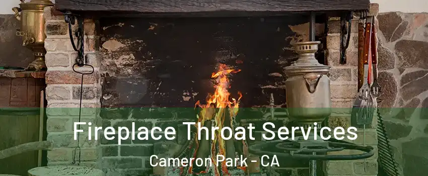  Fireplace Throat Services Cameron Park - CA