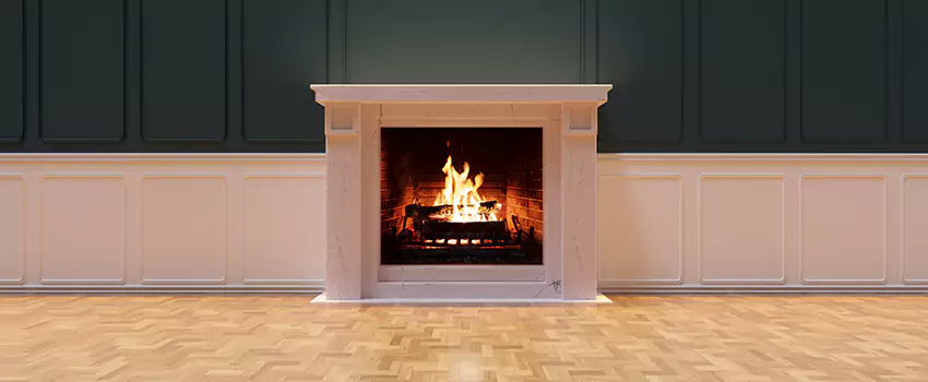Napoleon Electric Fireplaces Inspection Service in Cameron Park, California