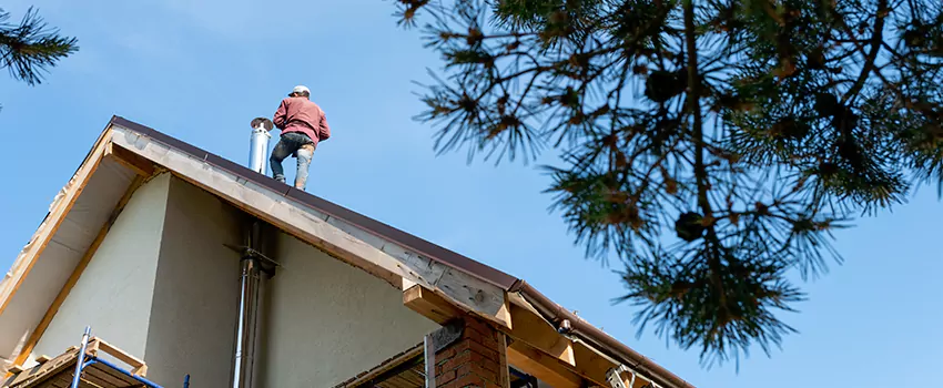 Birds Removal Contractors from Chimney in Cameron Park, CA