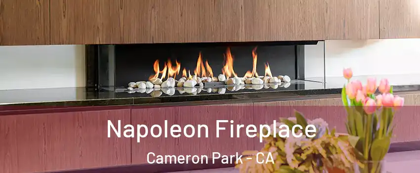  Napoleon Fireplace Cameron Park - CA